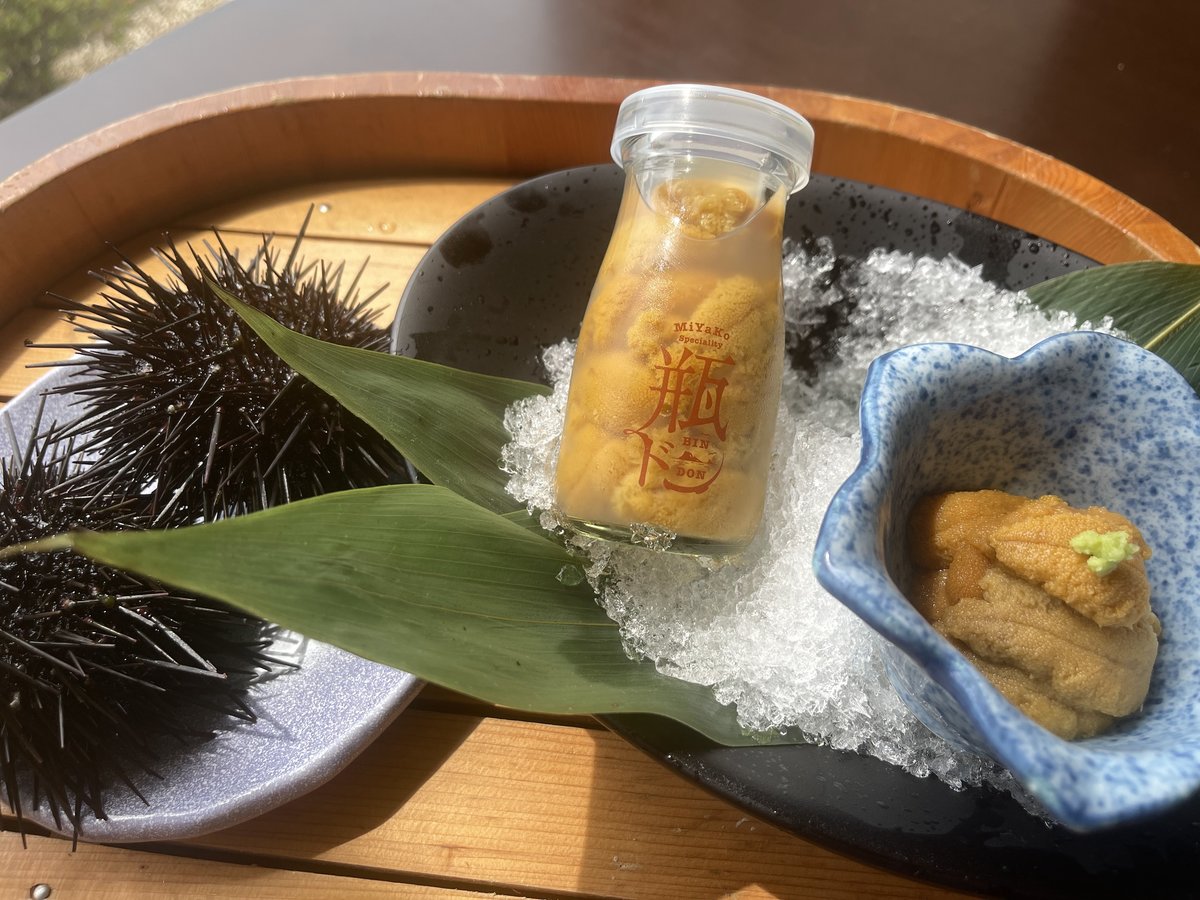 【三陸生ウニ】夏の味覚！魚彩王国生ウニ宿泊プラン