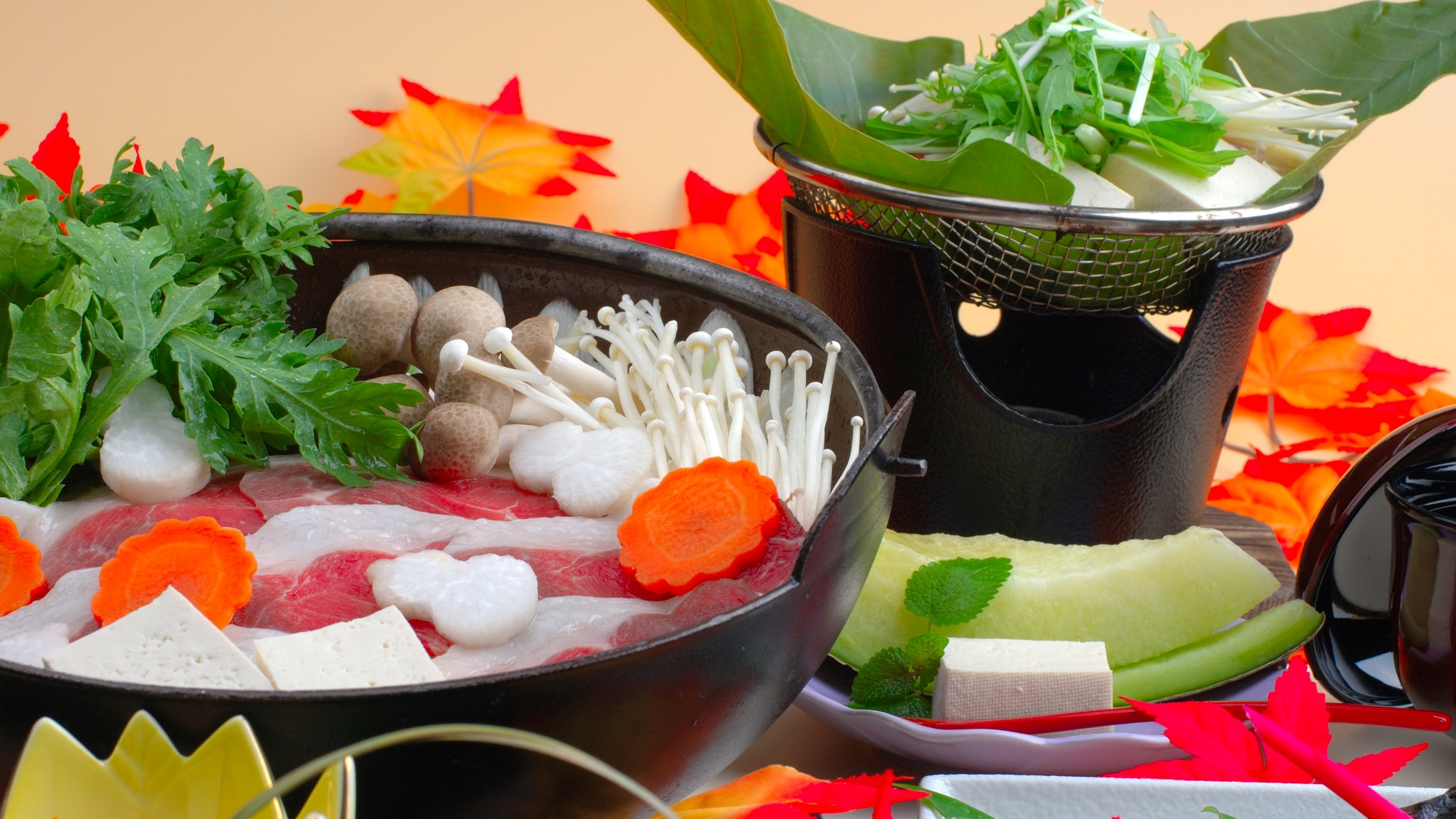 豆腐料理とイノシシ鍋　一例