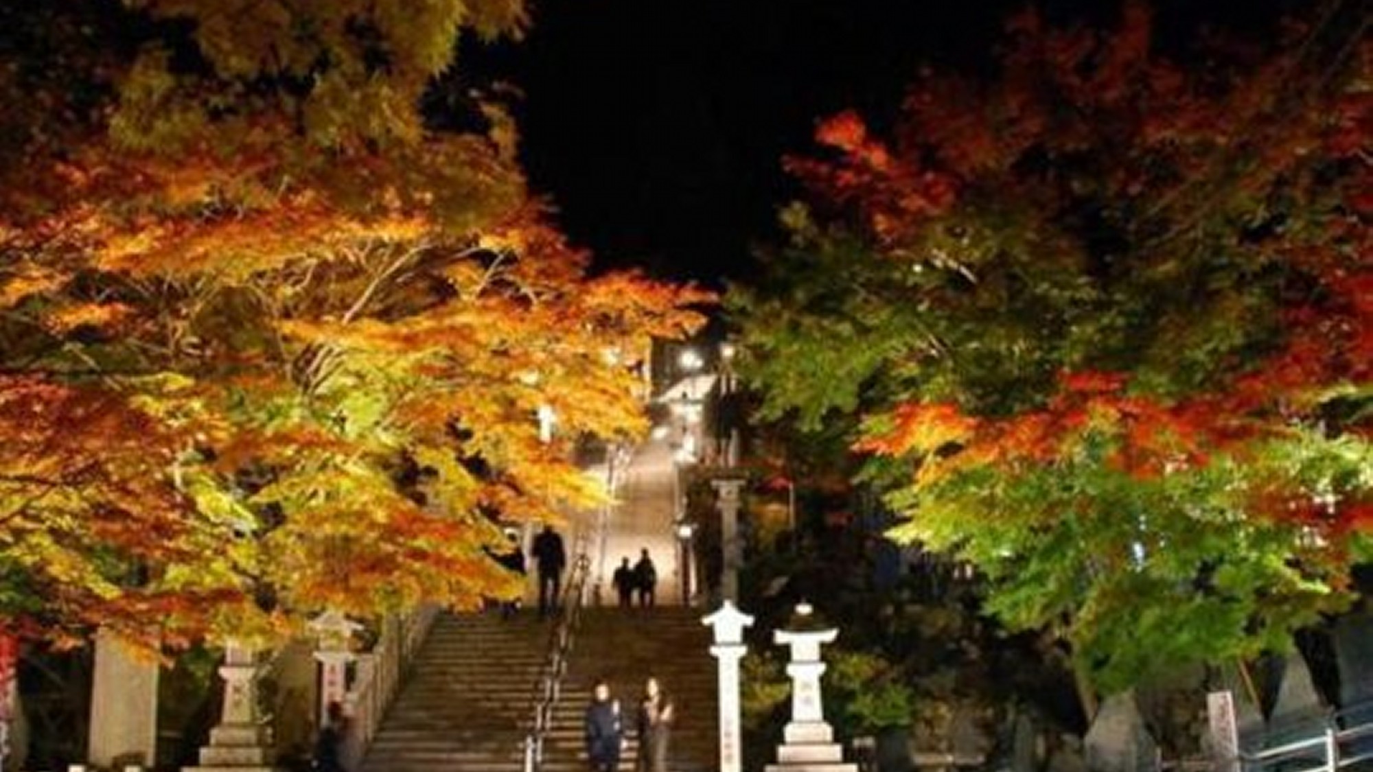 大山阿夫利神社下社　階段下エリアの紅葉