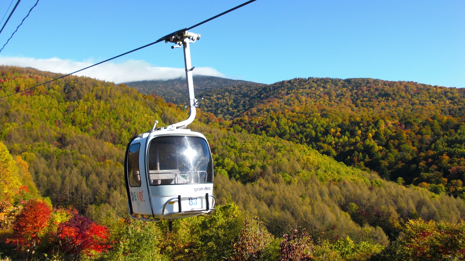 裏磐梯 グランデコ 東急ホテル 宿泊予約 楽天トラベル 裏磐梯 グランデコ 東急ホテル 宿泊予約 楽天トラベル