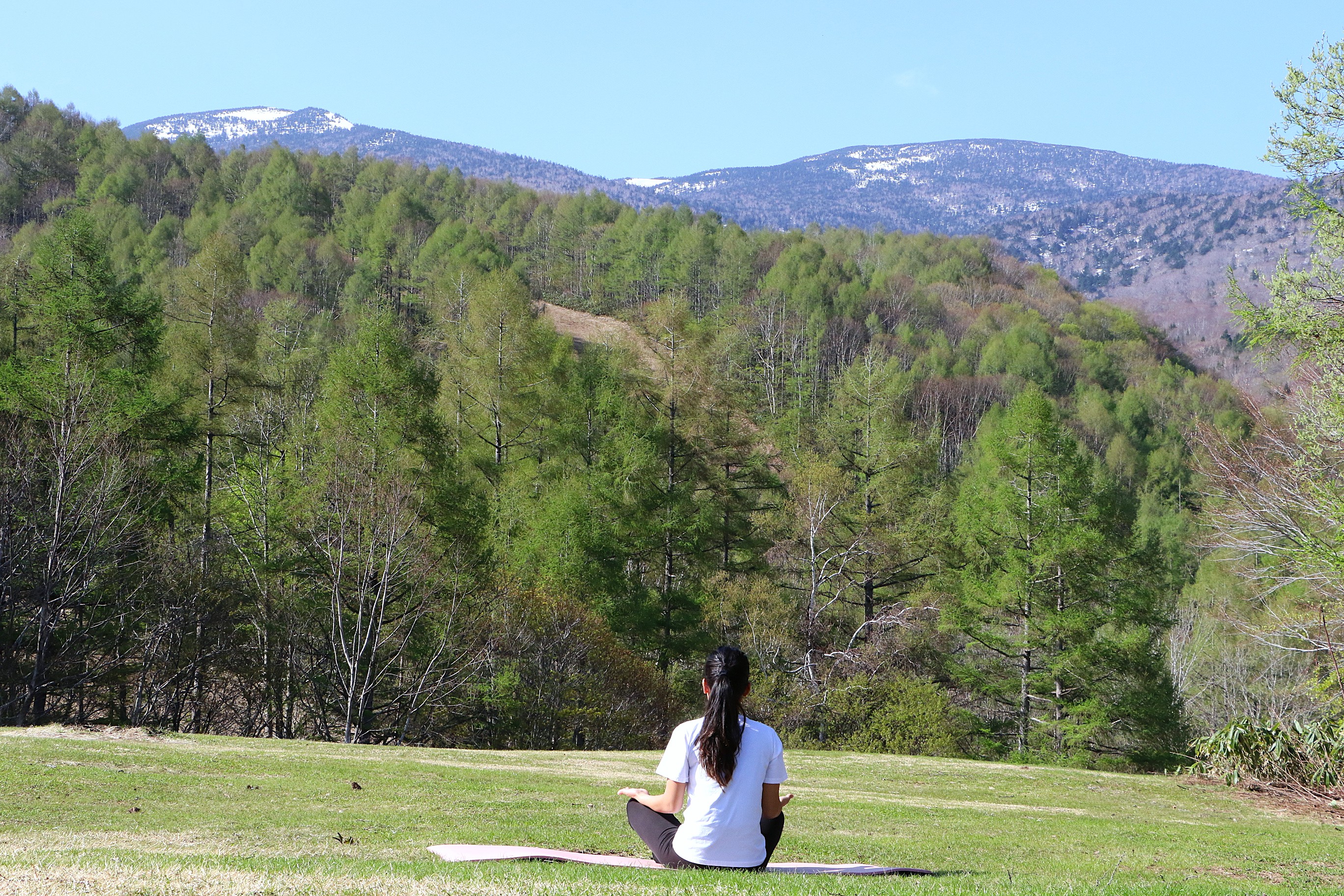 リトリートプラン