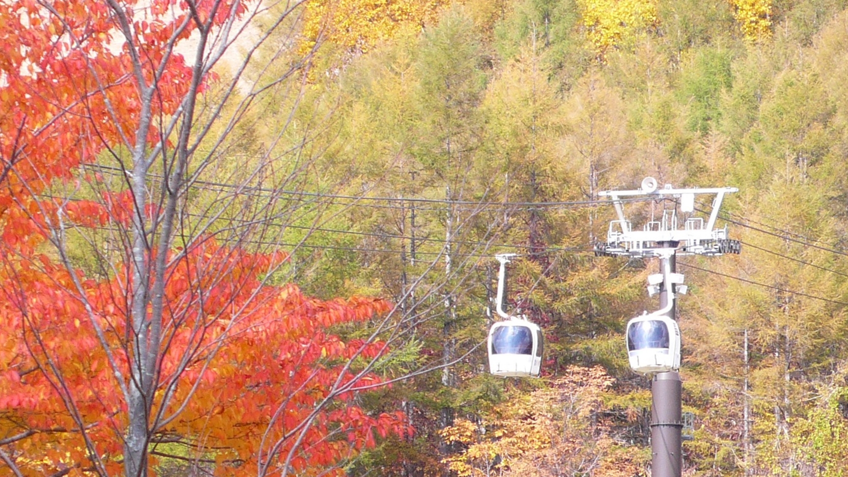 【秋】黄金色の落葉松と裏磐梯ロープウェイ