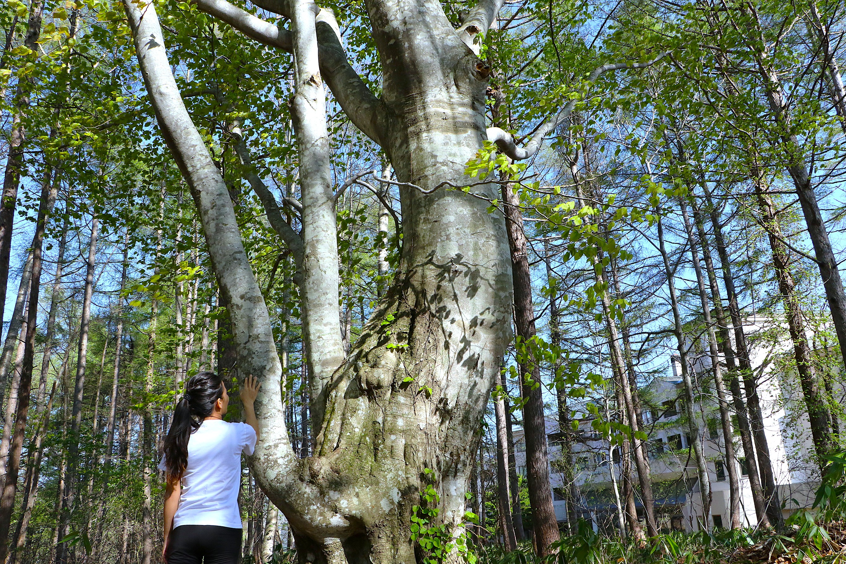 リトリートプラン