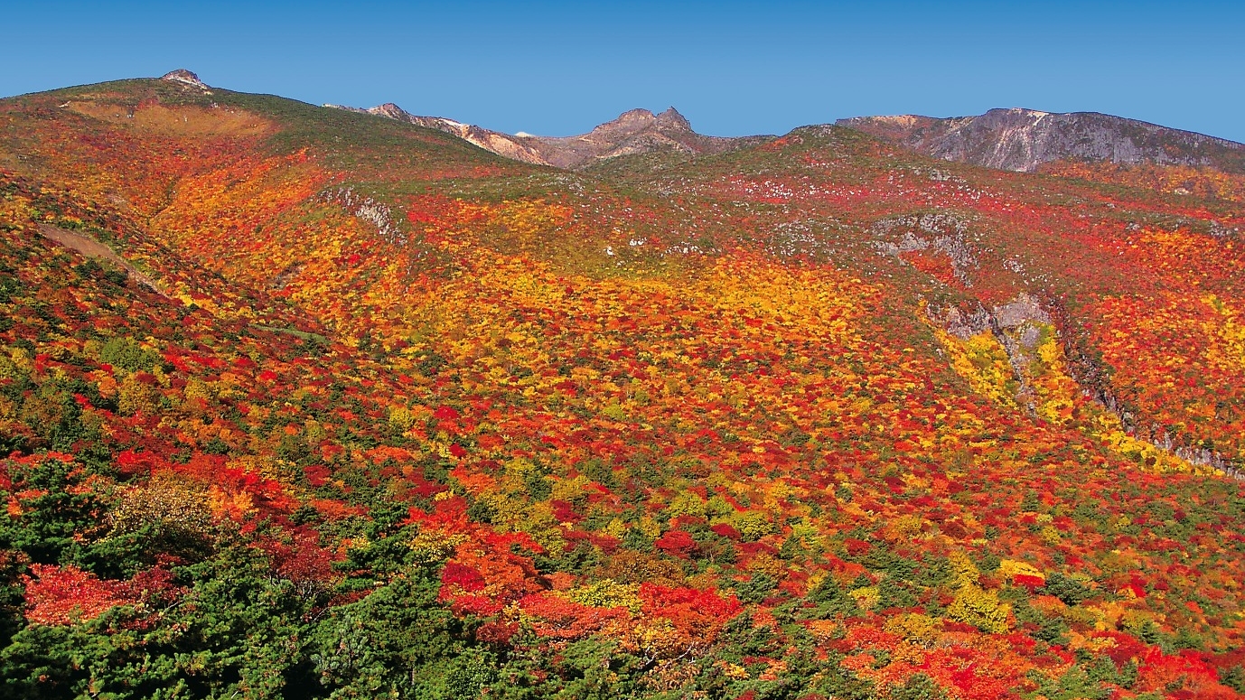 【秋】安達太良山