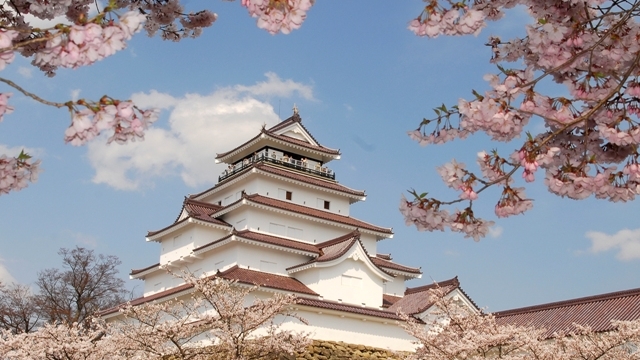 【4月中下旬】千本桜が咲き競う「鶴ヶ城公園」