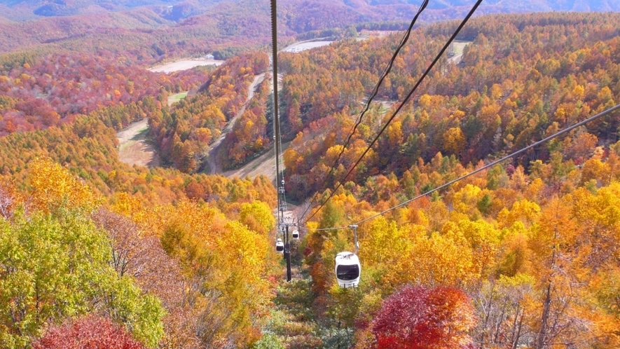 【秋】ロープウェイから眺める紅葉の大パノラマ