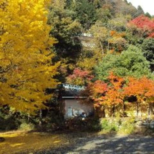 【秋の景色】大自然の中で季節の変わり目を感じて頂きたいです。