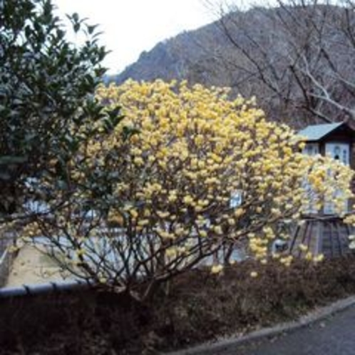 【冬の景色】御宿の前の景色。季節によって表情を変えます。