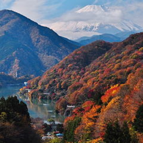 【丹沢湖と富士山】日本一の富士山と丹沢湖をご観賞下さい。