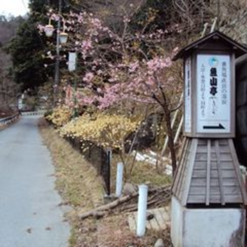 【外観・館内情報】手つかずの自然が今もたくさん残る西丹沢・中川温泉