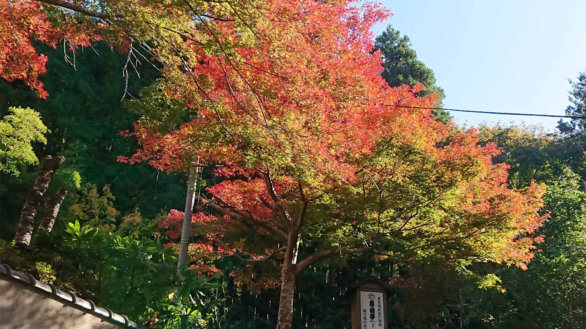 ・秋はあたり一面の紅葉も見所です