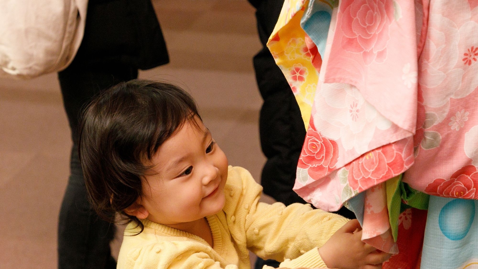 【GW特別限定プラン】新潟和牛ステーキ＆日本海ズワイガニのしゃぶしゃぶの豪華会席料理を愉しむ★