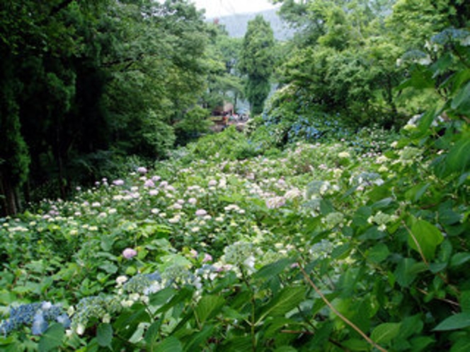 護摩堂山