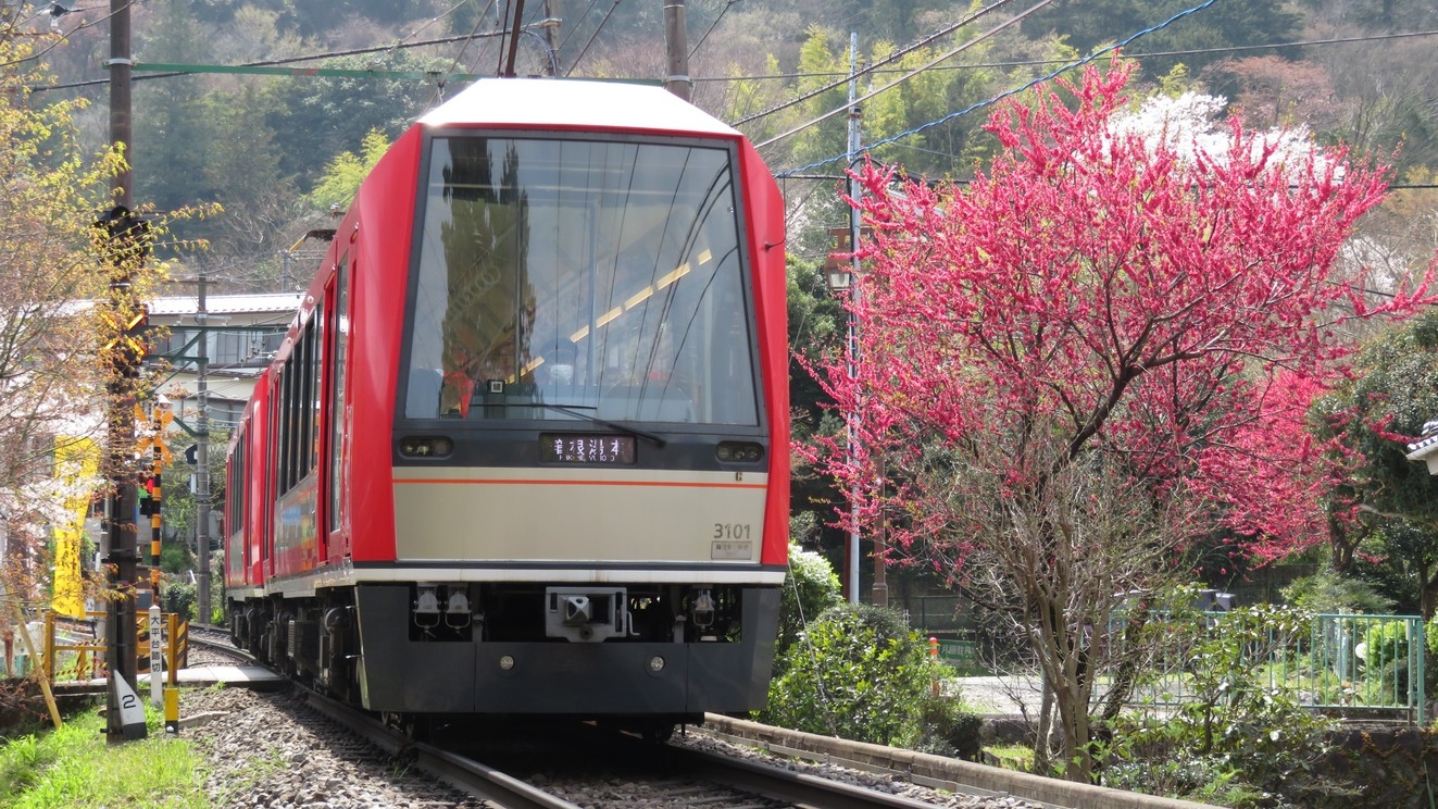【電車来館でお得】小涌谷駅から無料送迎あり★最大5，500円OFFでお得に冬旅♪