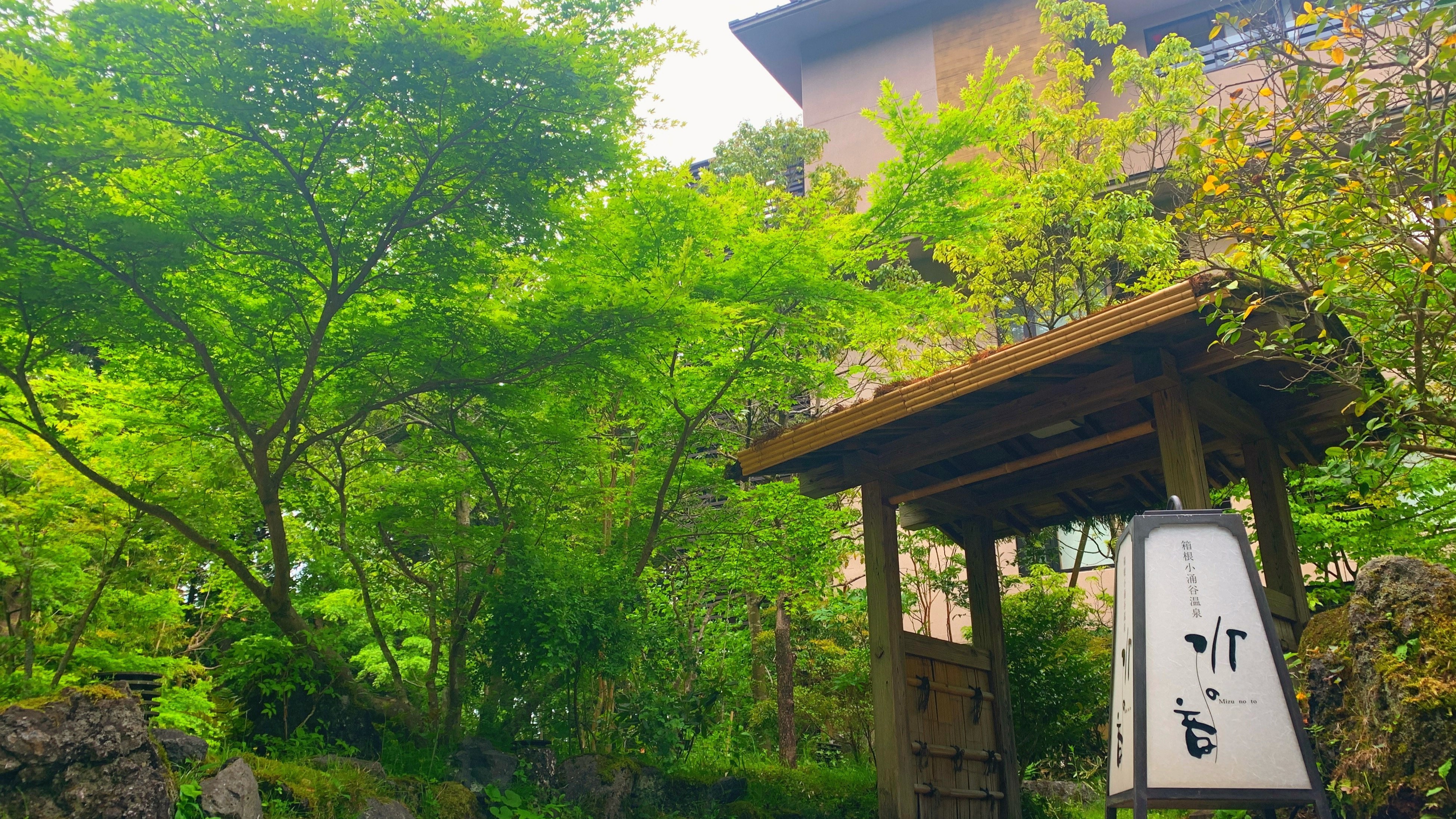 【外観】自然豊かな緑の木々に囲まれた杜の湯宿