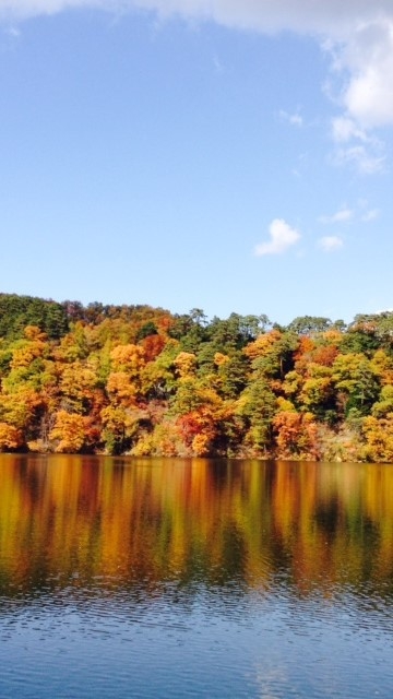 【八ヶ岳紅葉プラン】標高差のある八ヶ岳は長期間どこかで紅葉が楽しめスポット多数・さらに星空に雲海も！