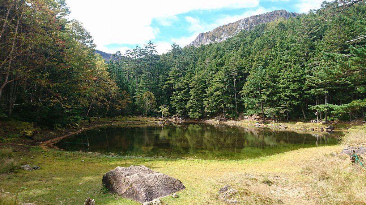 【新緑の旅】爽やかな風！地元食材の評判のお料理に新緑の苔の森と白樺群生林・満天の星空・源泉温泉巡り