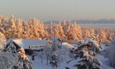 【やってみませんか！スノーシューを！】冬の森・雪原を歩く・森の住人の足跡探し・案内人付き初心者歓迎！