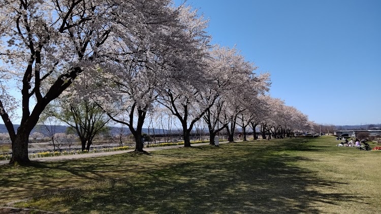 【早春!信州お花見プラン】桜＆カタクリ４月下旬までお花見を！温泉＆星空＆地元食材のお料理＆早朝の雲海