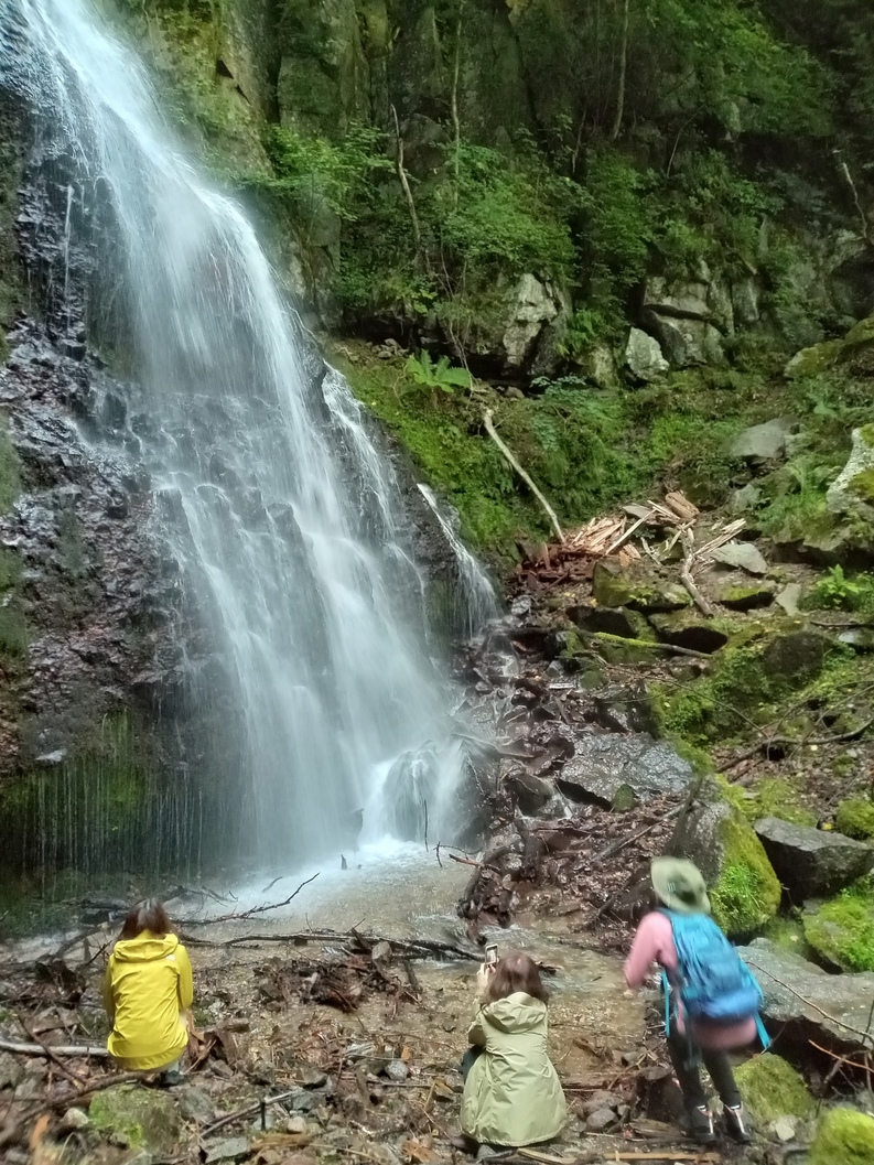 【北八ヶ岳・山歩きお散歩プラン】新緑のスポット巡り！八ヶ岳をトレッキングを楽しむ・お昼のおにぎりも！