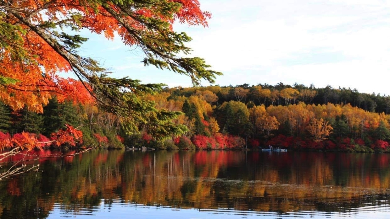 【八ヶ岳紅葉プラン】標高差のある八ヶ岳は長期間どこかで紅葉が楽しめスポット多数・さらに星空に雲海も！