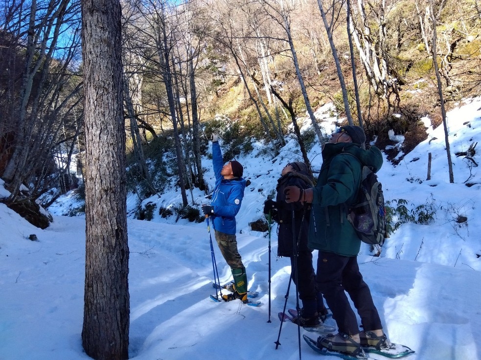 【スノーシュー体験！初心者集まれ！】積雪の森を歩き雪上の足跡や滝の瀑布を案内人と歩く冬遊びのテッパン