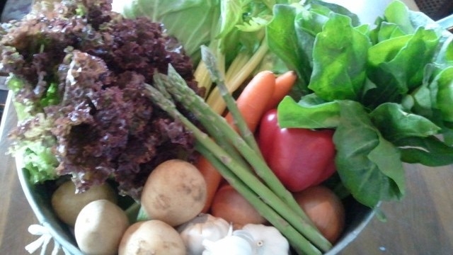 【期間限定クチコミでご好評をいただいていお料理スタンダードプラン食前酒とお土産付き】