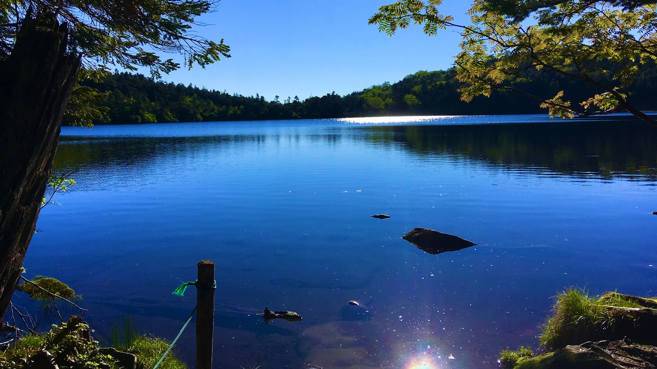 【通年スタンダードプラン】地元の美味しい旬な食材のお料理と温泉巡りと満天の星空・Wi-Fi完備です。