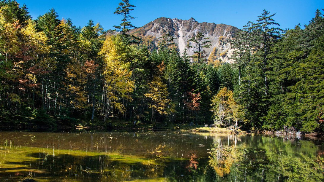 【新緑の旅】爽やかな風！地元食材の評判のお料理に新緑の苔の森と白樺群生林・満天の星空・源泉温泉巡り