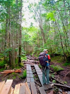 【北八ヶ岳・山歩きお散歩プラン】新緑のスポット巡り！八ヶ岳をトレッキングを楽しむ・お昼のおにぎりも！