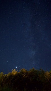 【夏の夜・ナイトウォーク＆渓流釣りツアー】ガイド付き星空を見ながら蛍の生息地まで！翌日渓流釣りに挑戦