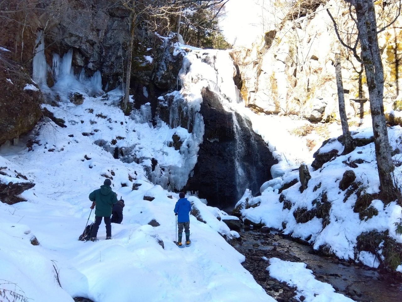 【スノーシュー体験！初心者集まれ！】積雪の森を歩き雪上の足跡や滝の瀑布を案内人と歩く冬遊びのテッパン