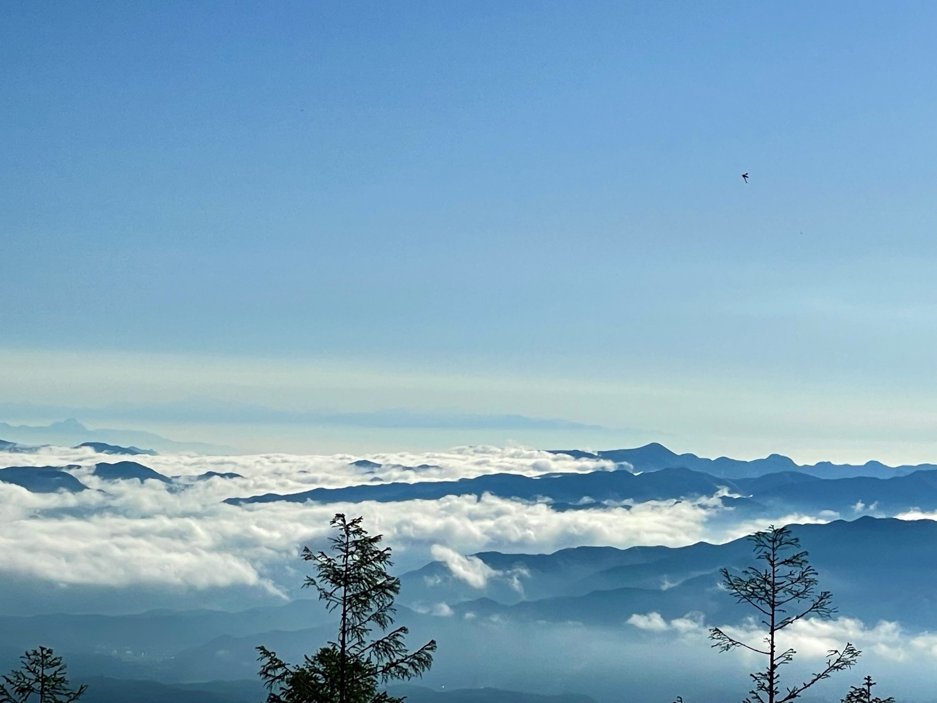 【八千穂高原スキー場もリフト券割引有り】車で15分のお隣のスキー場です！シャトレーゼ小海と併せて！