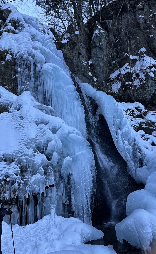 【スノーシュー体験！初心者集まれ！】積雪の森を歩き雪上の足跡や滝の瀑布を案内人と歩く冬遊びのテッパン