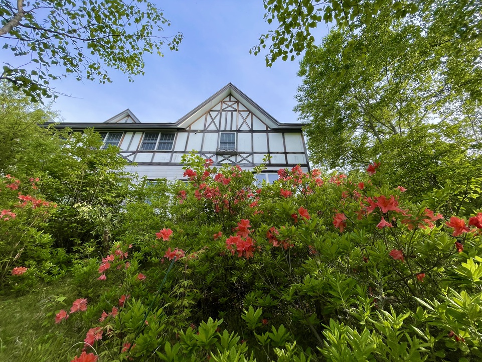 【四季・春・新緑プラン】八ヶ岳でクチコミでも評判の旬の食＆苔の森や白樺群生林の散歩＆軽井沢ドライブ