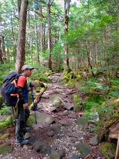 【北八ヶ岳・山歩きお散歩プラン】新緑のスポット巡り！八ヶ岳をトレッキングを楽しむ・お昼のおにぎりも！