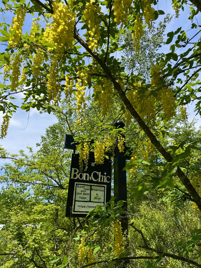 【夏旅・連泊割プラン】2泊以上のお客様対象・標高1450mの自然の涼風・クーラー無しで過ごせる避暑地
