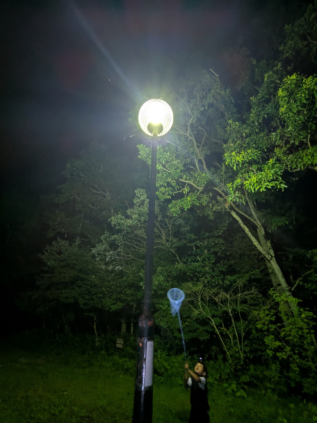 ６月１日〜【お子様歓迎の宿】バーベキュー＆チーズフォンデュプラン♪【貸し切り露天風呂付】