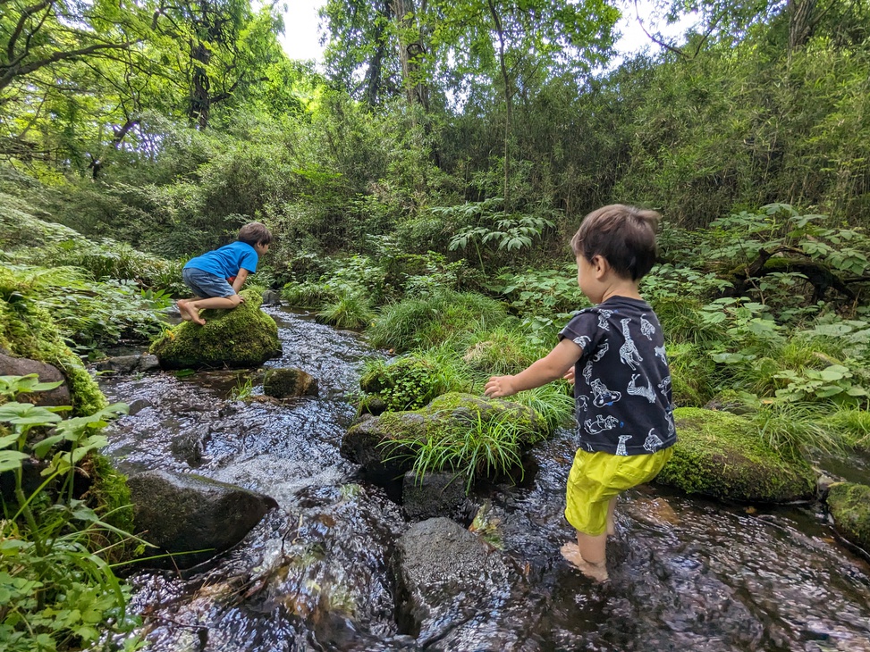 ６月１日〜【お子様歓迎の宿】バーベキュー＆チーズフォンデュプラン♪【貸し切り露天風呂付】