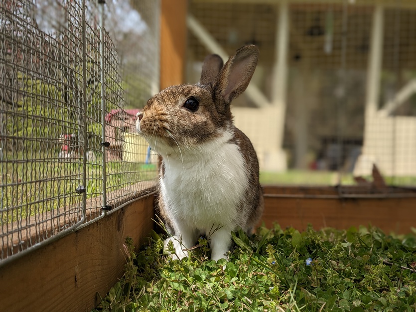 【お子様歓迎】チーズフォンデュコース【貸し切り温泉付き】