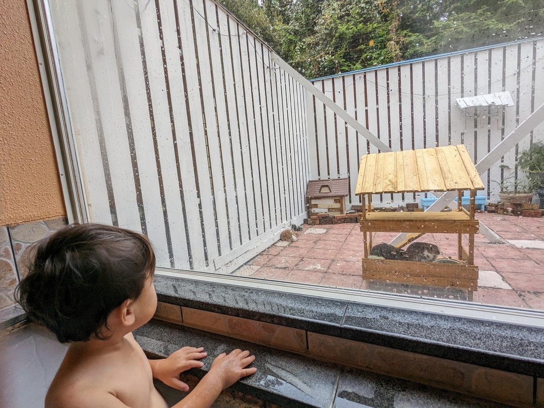【3世代旅行】お子様歓迎チーズフォンデュ＆貸し切温泉付きプラン【２家族旅行】和洋室タイプ