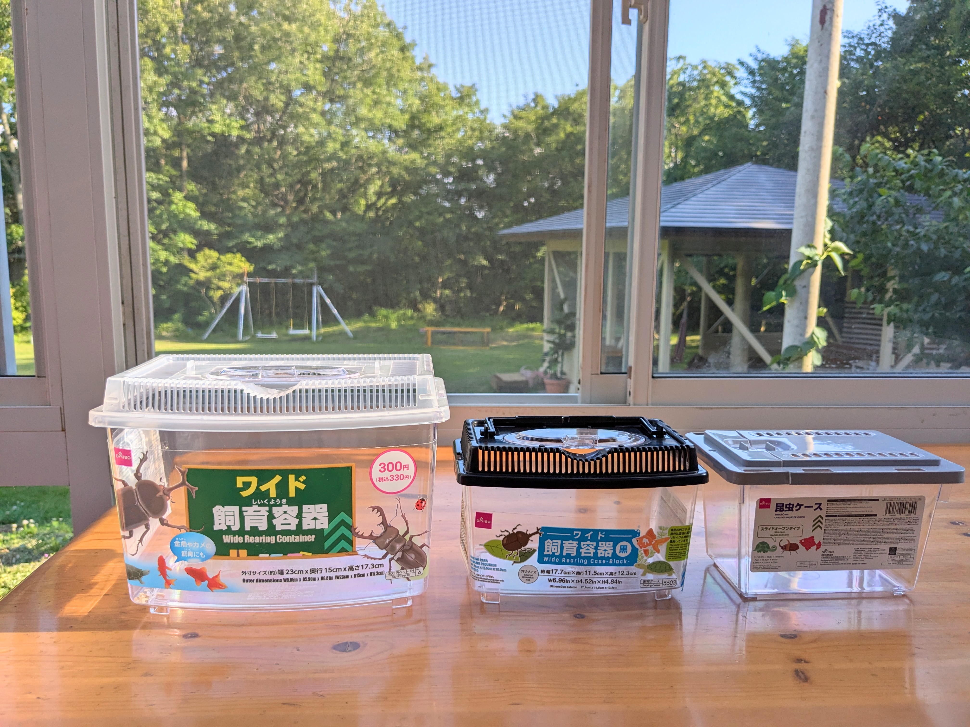 夏は虫かご販売します