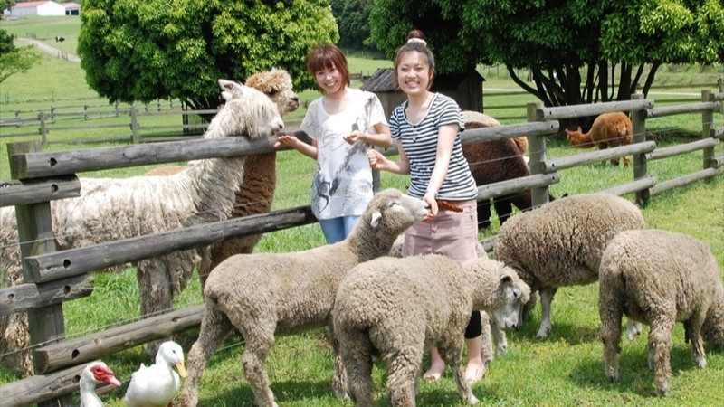 【マザー牧場入場券付き】！千葉のイイトコ再発見♪朝食バイキング／無料駐車場付き