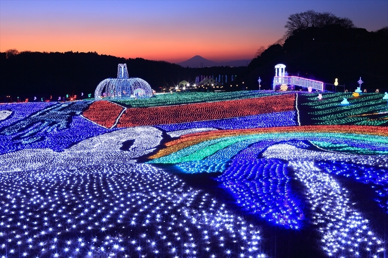 ★花と緑のテーマパーク★東京ドイツ村チケット付♪○朝食バイキング付き