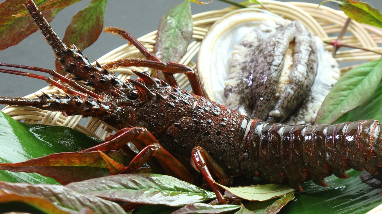 房州の味覚◇伊勢海老一人一尾付◇豪華食材で美味しい旅を♪