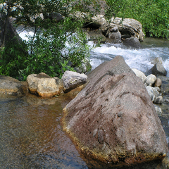 蒲田川間近（かじかの湯）