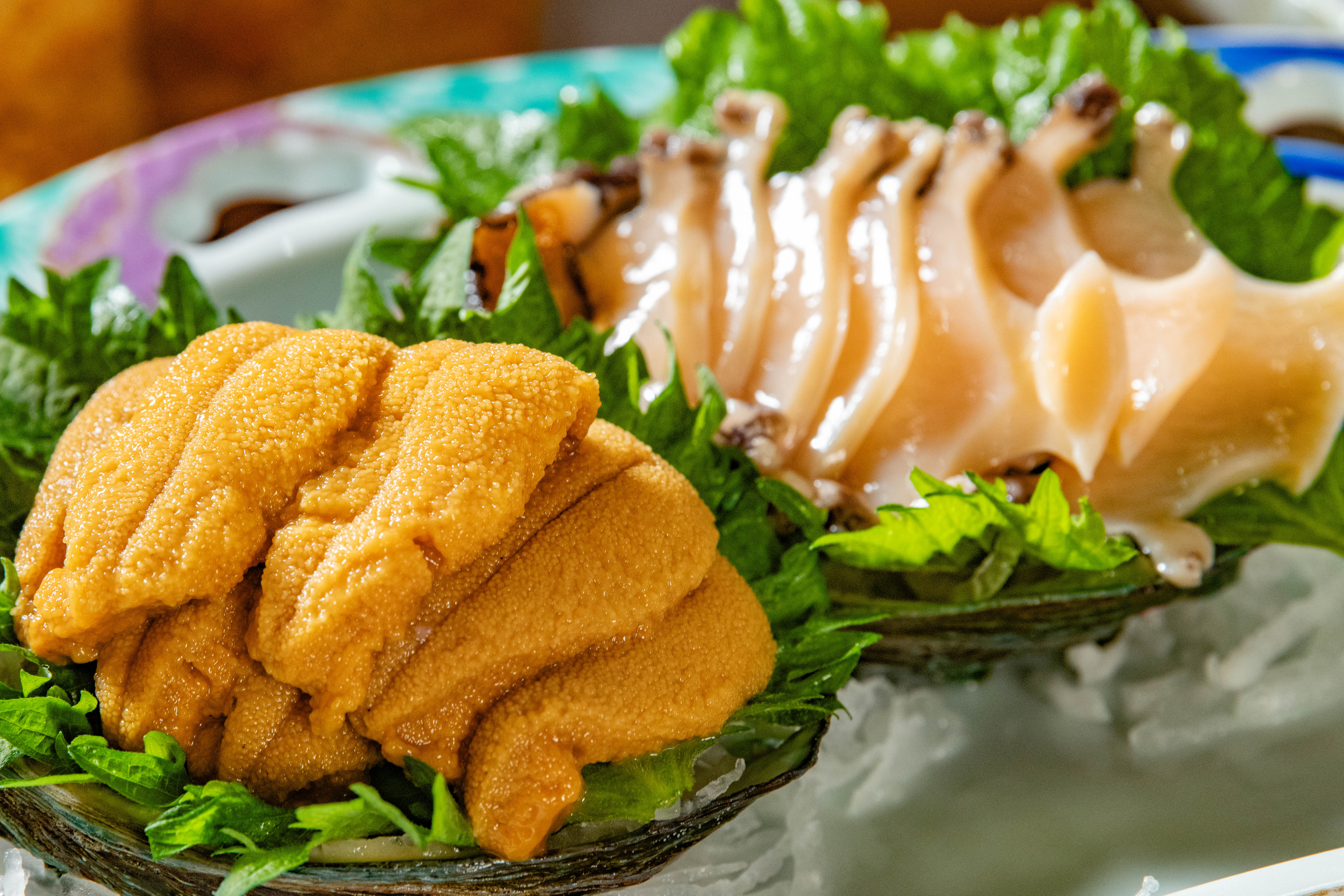 うにとあわびの食べ比べ