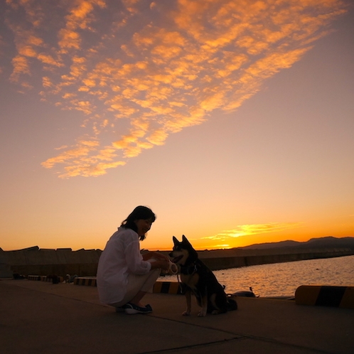 【お散歩コース】泊浜、夕陽を独り占めできる隠れた名所です。わんちゃんとの散歩にも最適です