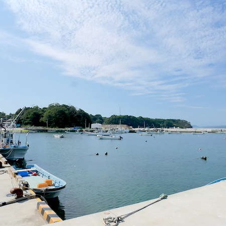 泊浜漁港