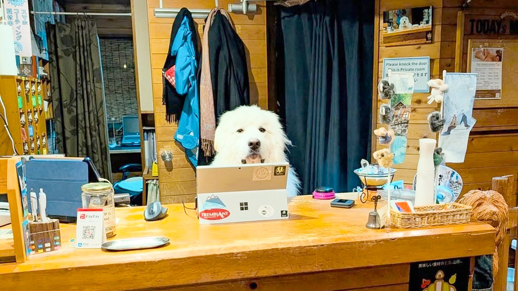 ・【愛犬宿泊OK】愛犬と一緒に過ごす特別な休日。自然に囲まれた癒しのロッジ